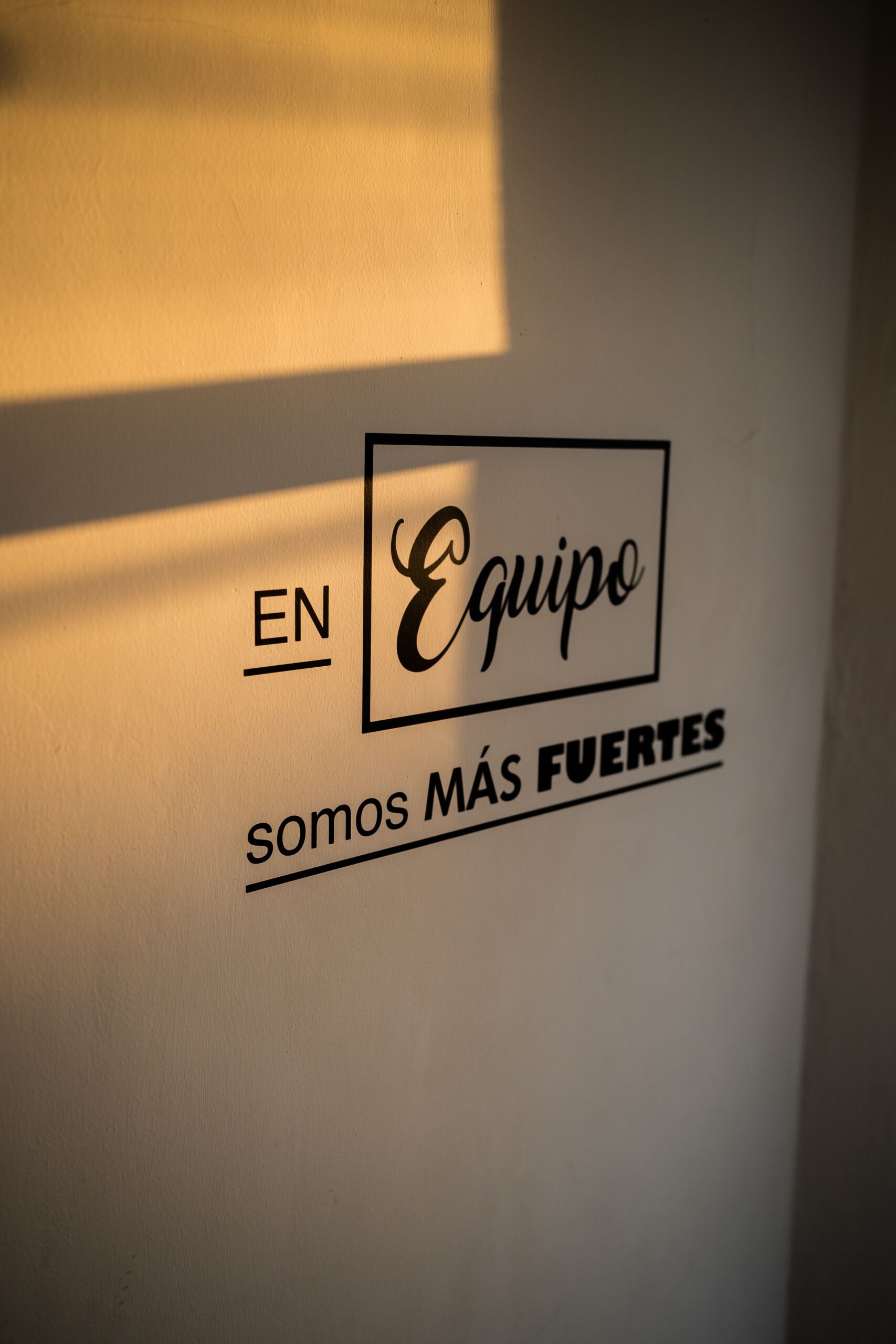 vinil corte tablish